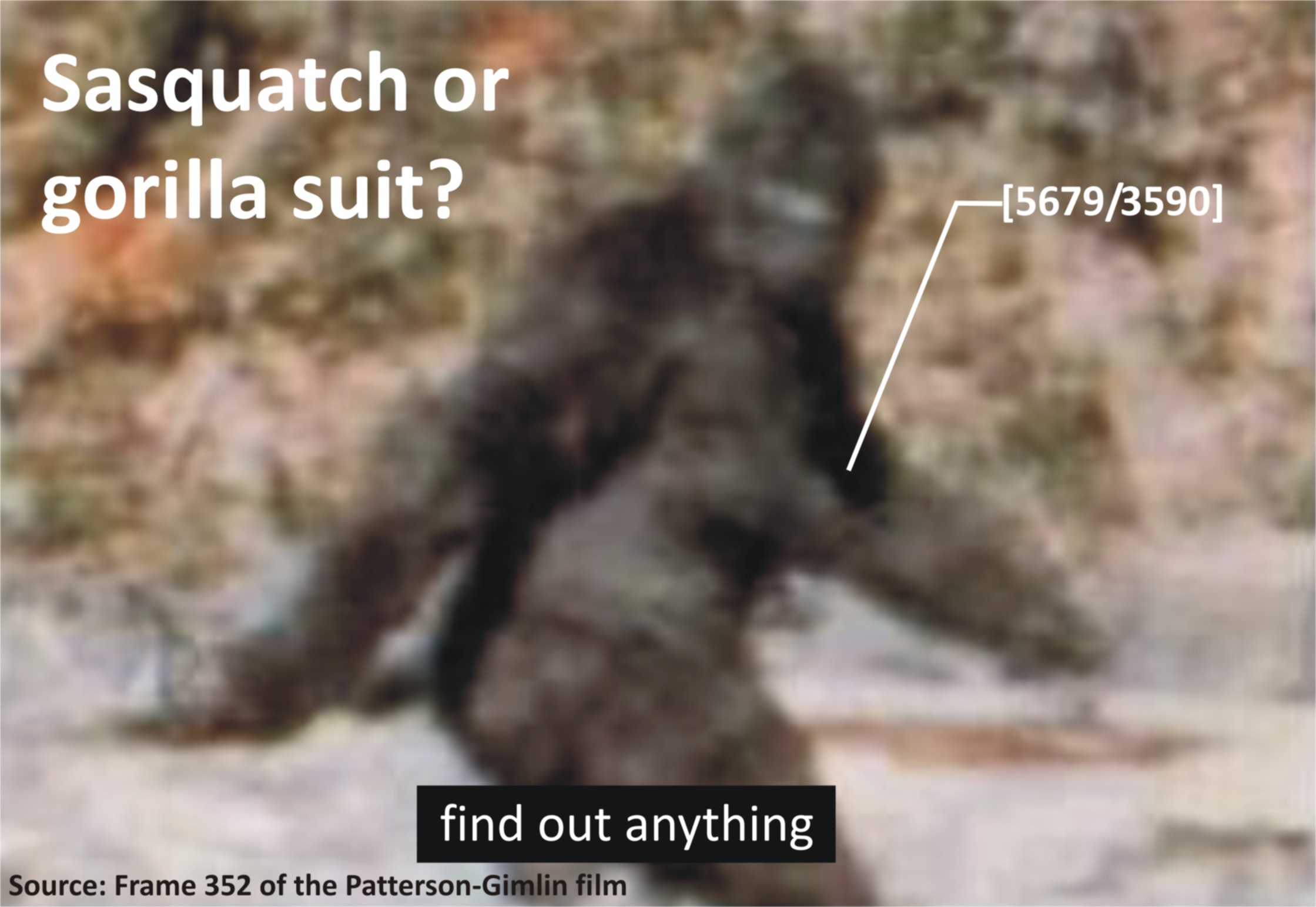 Sasquatch or gorilla suit?